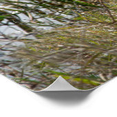 Holzstorch im Viera Wetlands Florida-Foto Poster (Ecke)