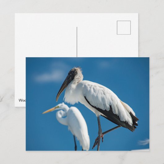 Holzstorch Postkarte (Vorne/Hinten)