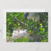 Holzstorch- und -kichenflatkarte (Vorderseite)