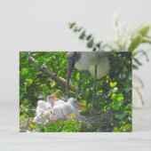 Holzstorch- und -kichenflatkarte (Stehend Vorderseite)