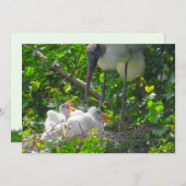 Holzstorch- und -kichenflatkarte (Vorne/Hinten)