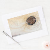 Holzstruktur Rechteckiger Aufkleber (Umschlag)