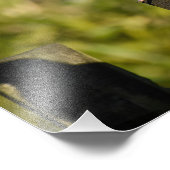 Holztaube Fotodruck (Ecke)