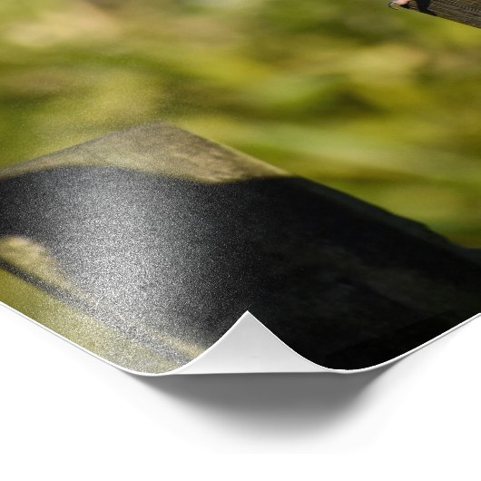 Holztaube Fotodruck (Ecke)