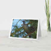 Holztaube in der Pine Tree Card Karte (Vorderseite)