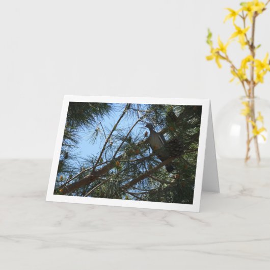 Holztaube in der Pine Tree Card Karte (Gelbe Blume)