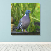 Holztaube Leinwanddruck (Insitu (Holzboden))