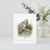 Holztaube Postkarte (Stehend Vorderseite)