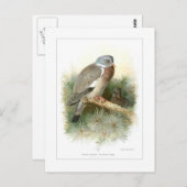 Holztaube Postkarte (Vorne/Hinten)