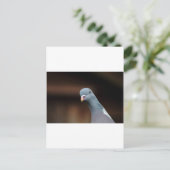 Holztaube Postkarte (Stehend Vorderseite)