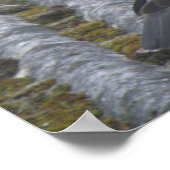 Holztaube Print Poster (Ecke)