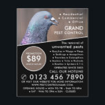 Holztaube, Werbung für Kontrollen in der Schädling Flyer<br><div class="desc">Holztaube,  Schädling-Kontrolle-Werbe-Flyer durch den Business Card Store.</div>