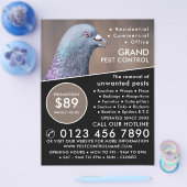 Holztaube, Werbung für Kontrollen in der Schädling Flyer (Einzeln)