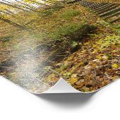 Holztreppen im Staat Park Fotodruck (Ecke)