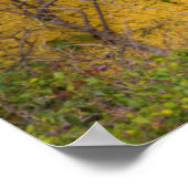 Holztür Poster (Ecke)