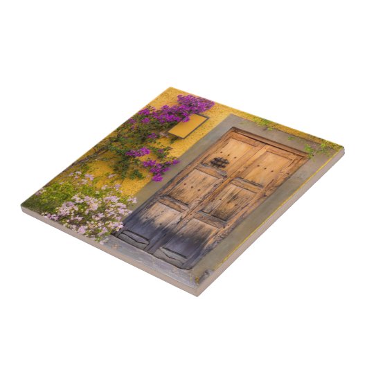 Holztüre Fliese (Seite)