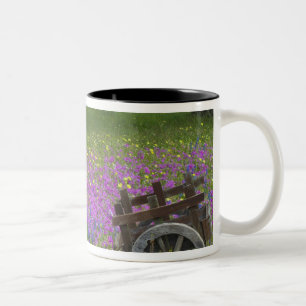 Holzwagen auf einem Feld mit Phlox, Blaue Bonnets Zweifarbige Tasse