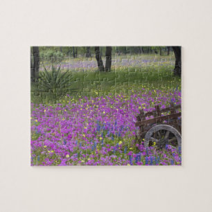 Holzwagen auf einem Feld mit Phlox, Blaue Bonnetts Puzzle