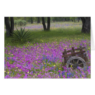 Holzwagen auf einem Feld mit Phlox, Blaue Hauben m