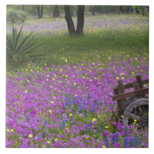 Holzwagen auf einem Feld mit Phlox, Blaue Hauben m Fliese