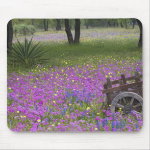 Holzwagen auf einem Feld mit Phlox, Blaue Hütchen  Mousepad