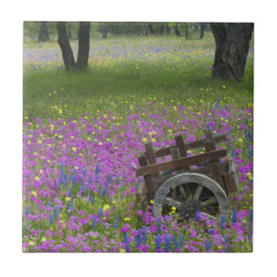 Holzwagen auf einem Phloxfeld, Blaue Bonnets Fliese