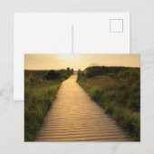 Holzweg bis Strand Postkarte (Vorne/Hinten)