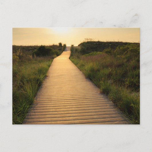 Holzweg bis Strand Postkarte (Vorderseite)