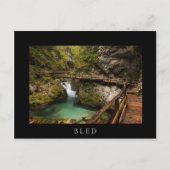 Holzweg durch den Schlucht der Vintgar-Schlucht Postkarte (Vorderseite)