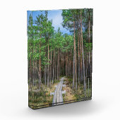 Holzweg im Kiefernwald Fotoblock (Links)