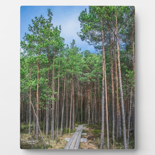 Holzweg im Kiefernwald Fotoplatte (Vorderseite)