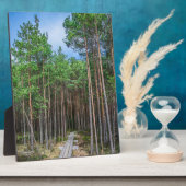 Holzweg im Kiefernwald Fotoplatte (Seite)