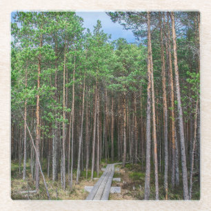 Holzweg im Kiefernwald Glasuntersetzer
