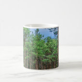 Holzweg im Kiefernwald Kaffeetasse (Mittel)