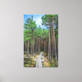 Holzweg im Kiefernwald Leinwanddruck (Vorderseite)