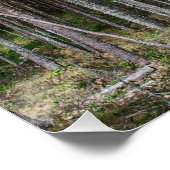 Holzweg im Kiefernwald Poster (Ecke)