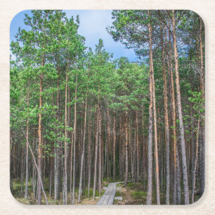 Holzweg im Kiefernwald Rechteckiger Pappuntersetzer