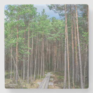 Holzweg im Kiefernwald Steinuntersetzer