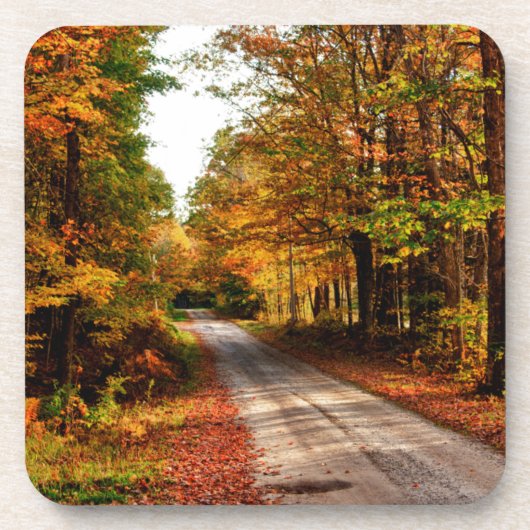 Holzweg mit Laubblätterung Getränkeuntersetzer (Vorderseite)