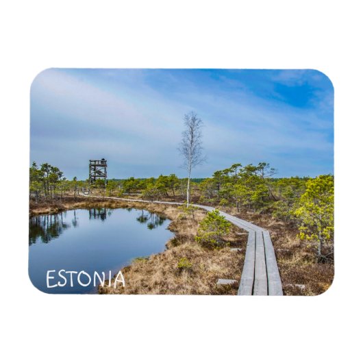 Holzweg über den Sumpf in Estland Magnet (Horizontal)