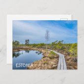 Holzweg über den Sumpf in Estland Postkarte (Vorne/Hinten)