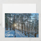 Holzweg über schneebedeckten Winterwald (Vorne/Hinten)