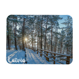 Holzweg über schneebedeckten Winterwald Magnet