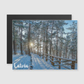 Holzweg über schneebedeckten Winterwald Magnetkarte (Vorne/Hinten)