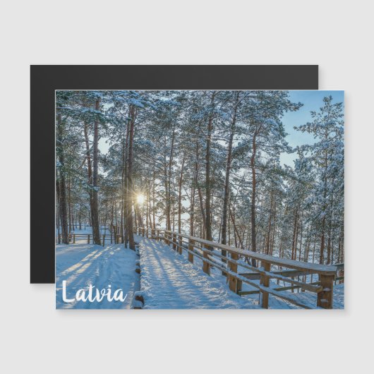 Holzweg über schneebedeckten Winterwald Magnetkarte (Vorne/Hinten)