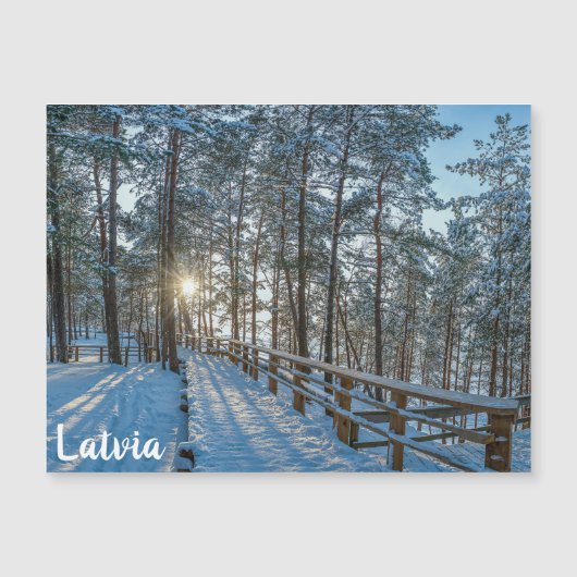 Holzweg über schneebedeckten Winterwald Magnetkarte (Vorderseite)