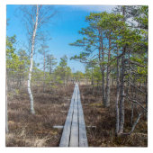 Holzweg über Sumpf Fliese (Vorderseite)