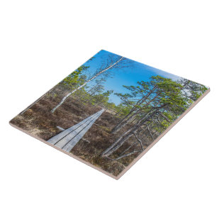 Holzweg über Sumpf Fliese