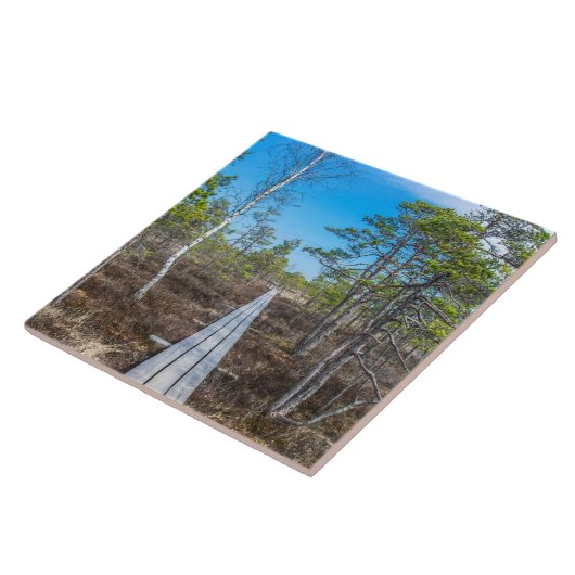 Holzweg über Sumpf Fliese (Seite)