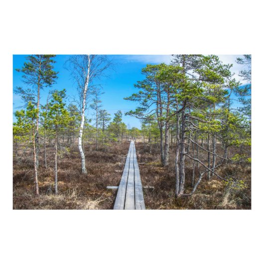 Holzweg über Sumpf Fotodruck (Vorne)